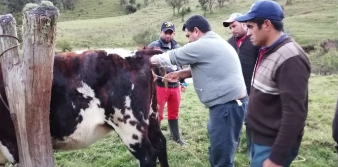 Equipo de profesionales de la ULATA realizan acompañamiento a sumapaceños Equipo de profesionales de la ULATA realizan acompañamiento a sumapaceños
