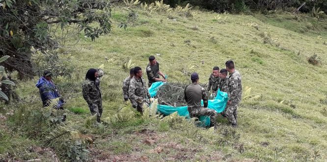 Articulación entre entidades dejó como resultado el éxito de la jornada