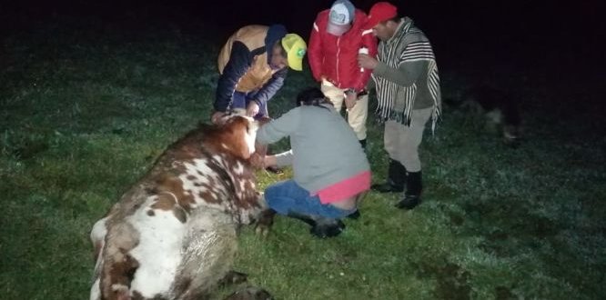 Equipo de profesionales de la ULATA realizan acompañamiento a sumapaceños Equipo de profesionales de la ULATA realizan acompañamiento a sumapaceños