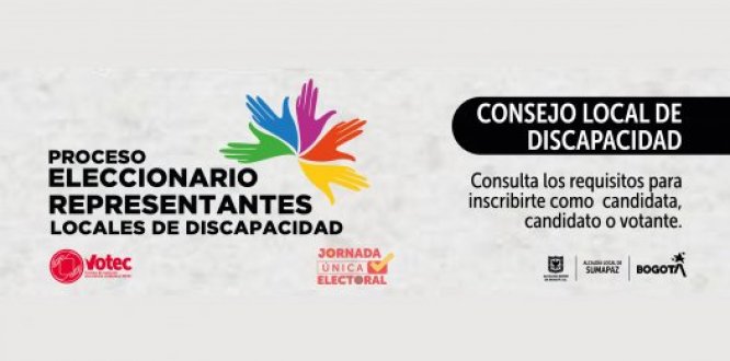 Consejo Local de Discapacidad 