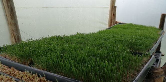 Equipo de profesionales de la ULATA realizan acompañamiento a sumapaceños Equipo de profesionales de la ULATA realizan acompañamiento a sumapaceños