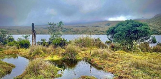 Día Mundial del Agua Sumapaz