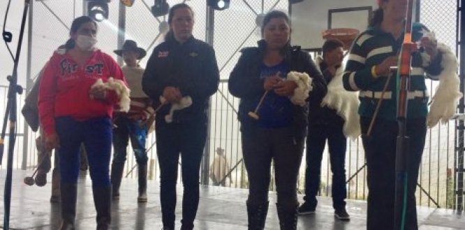 feria de servicios