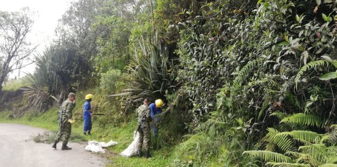 Jornada de control Retamo Espinoso 