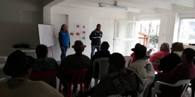Encuentros mensuales de desarrollo humano con persona mayor