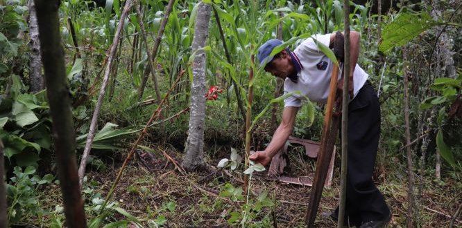 Genaldo realiza sus actividades diarias con normalidad Genaldo realiza sus actividades diarias con normalidad