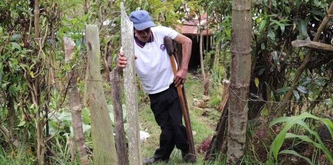 Genaldo realiza sus actividades diarias con normalidad Genaldo realiza sus actividades diarias con normalidad