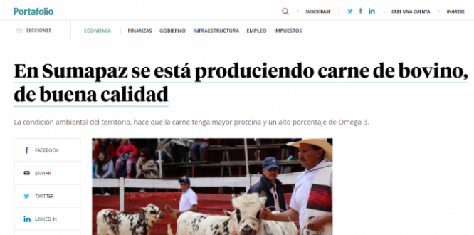 Feria agroambiental 2018 Portafolio