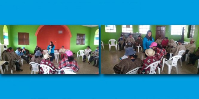Educación ambiental en Nueva Granada
