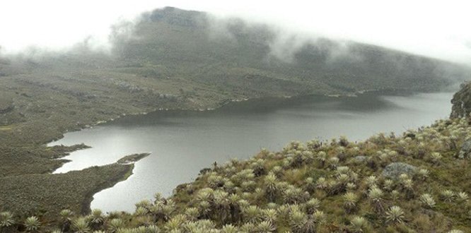 Desminado y ecoturismo en el Páramo del Suamapaz son temas diferentes. Desminado y ecoturismo en el Páramo del Suamapaz son temas diferentes.