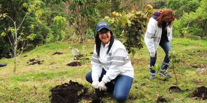 Plantatón presidida por la administración local, a la cual asistió la Personera Distrital Plantatón presidida por la administración local, a la cual asistió la Personera Distrital