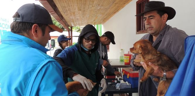 Jornada de Esterilización de perros y gatos en Cuenca del Río Blanco Jornada de Esterilización de perros y gatos en Cuenca del Río Blanco