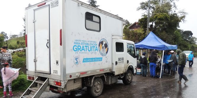 Jornada de Esterilización de perros y gatos en Cuenca del Río Blanco Jornada de Esterilización de perros y gatos en Cuenca del Río Blanco
