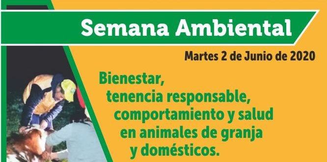 Semana ambiental 2020