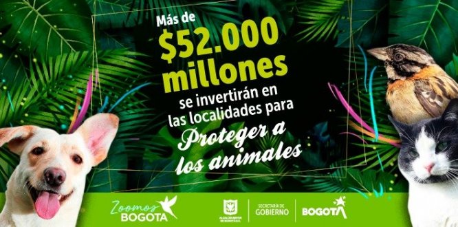 Pieza gráfica de animales. Más de 52mil millones de pesos se invertirán en las localidades para el cuidado y protección de los animales