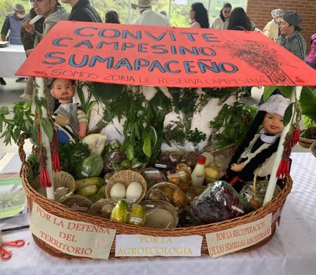 Día del Campesino y la Campesina 2019