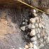 Obras de bioingeniería en Sumapaz
