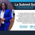 Subred Sur recibe premio internacional